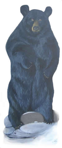 CLICK HERE for more bears